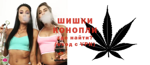 гашик Щигры