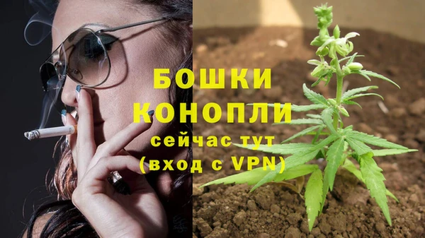 PSILOCYBIN Арсеньев
