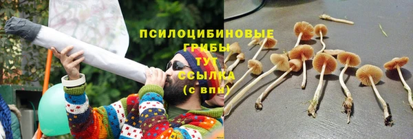 спиды Баксан