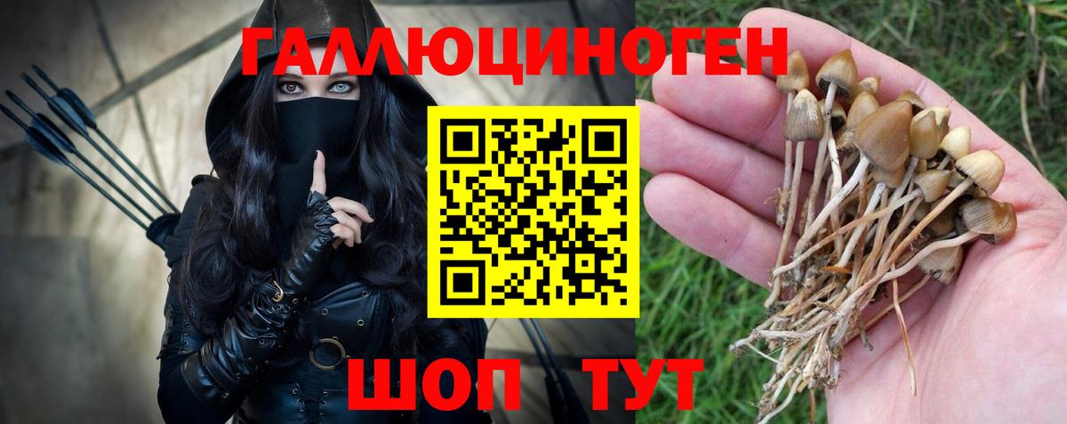 Галлюциногенные грибы ЛСД Курск