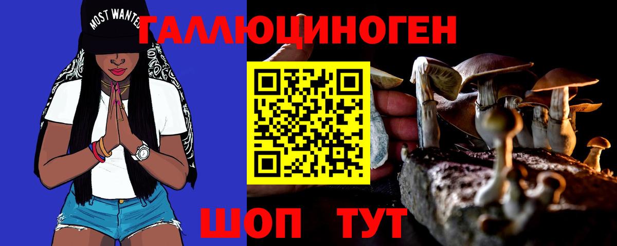 Курск  Псилоцибиновые грибы MAGIC MUSHROOMS  где можно купить наркотик  Вход с VPN  Псилоцибиновые грибы Psilocybine cubensis 